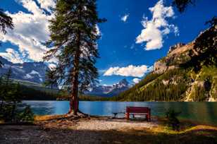 Lake O'Hara-4608-2 Lake O'Hara-4608-2
